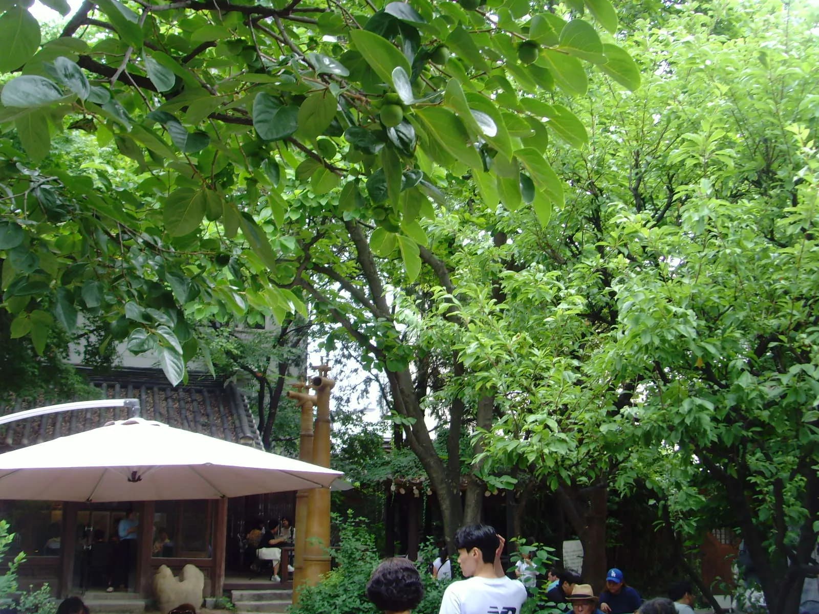 A cafe where memories return — 3
